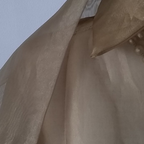 Sheer button down blouse with matching sca… - Picture 8 of 8